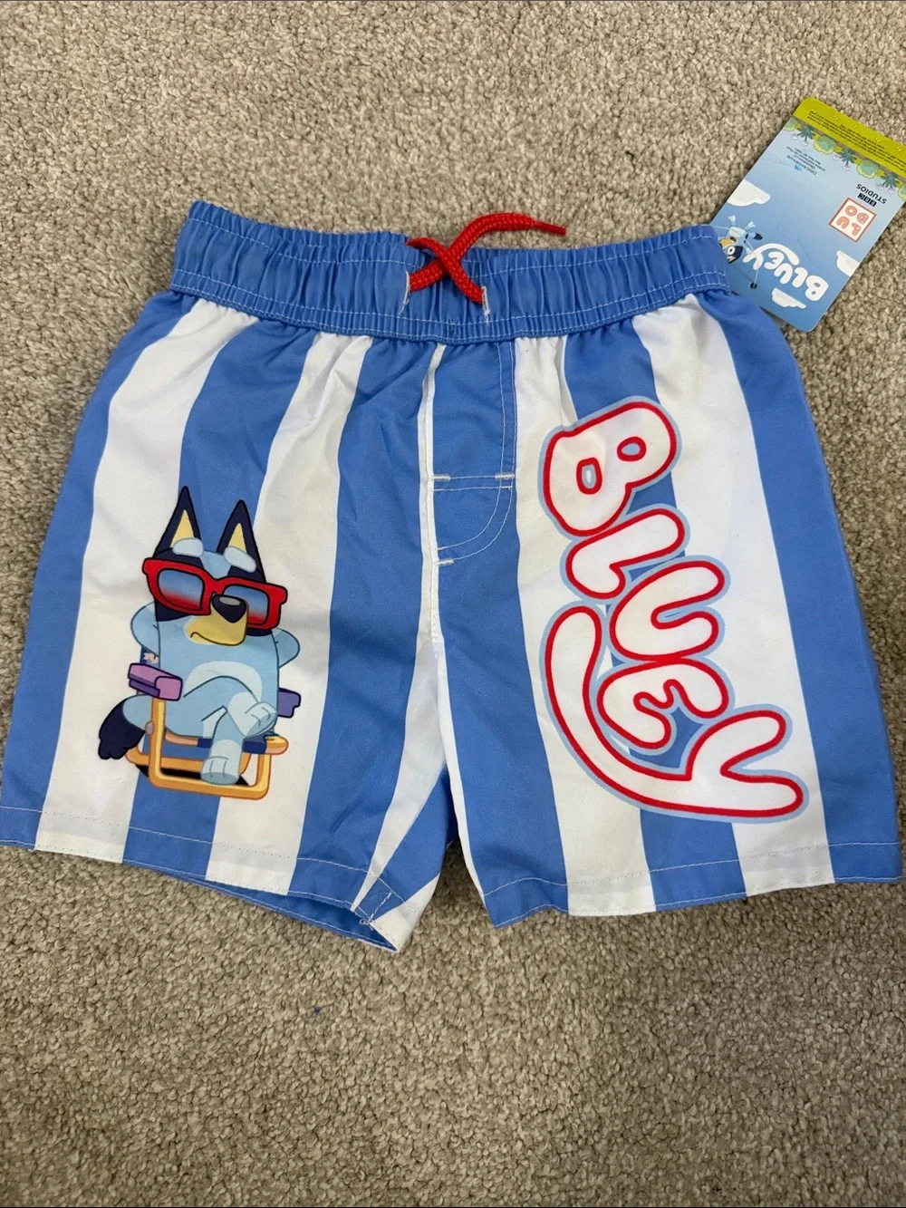 NWT Boys' Bluey Striped Swim Shorts with Lining 3T